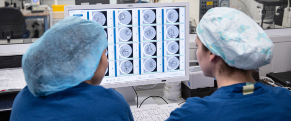 Clinical and scientific expertise